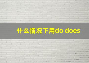 什么情况下用do does